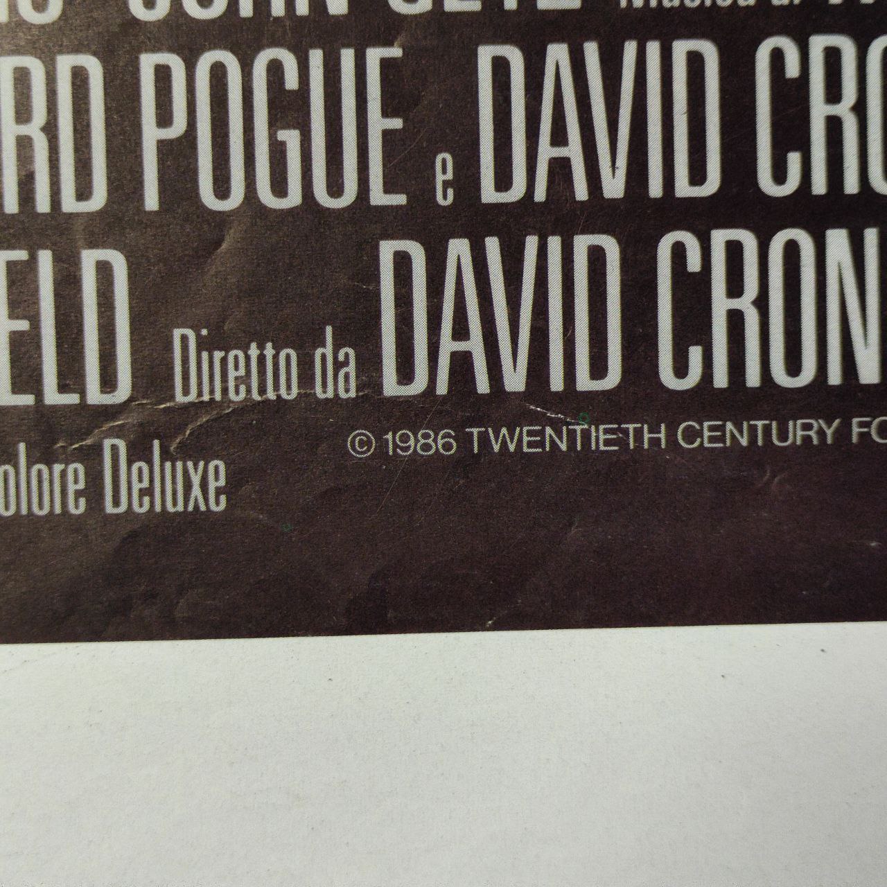 Locandina - La mosca