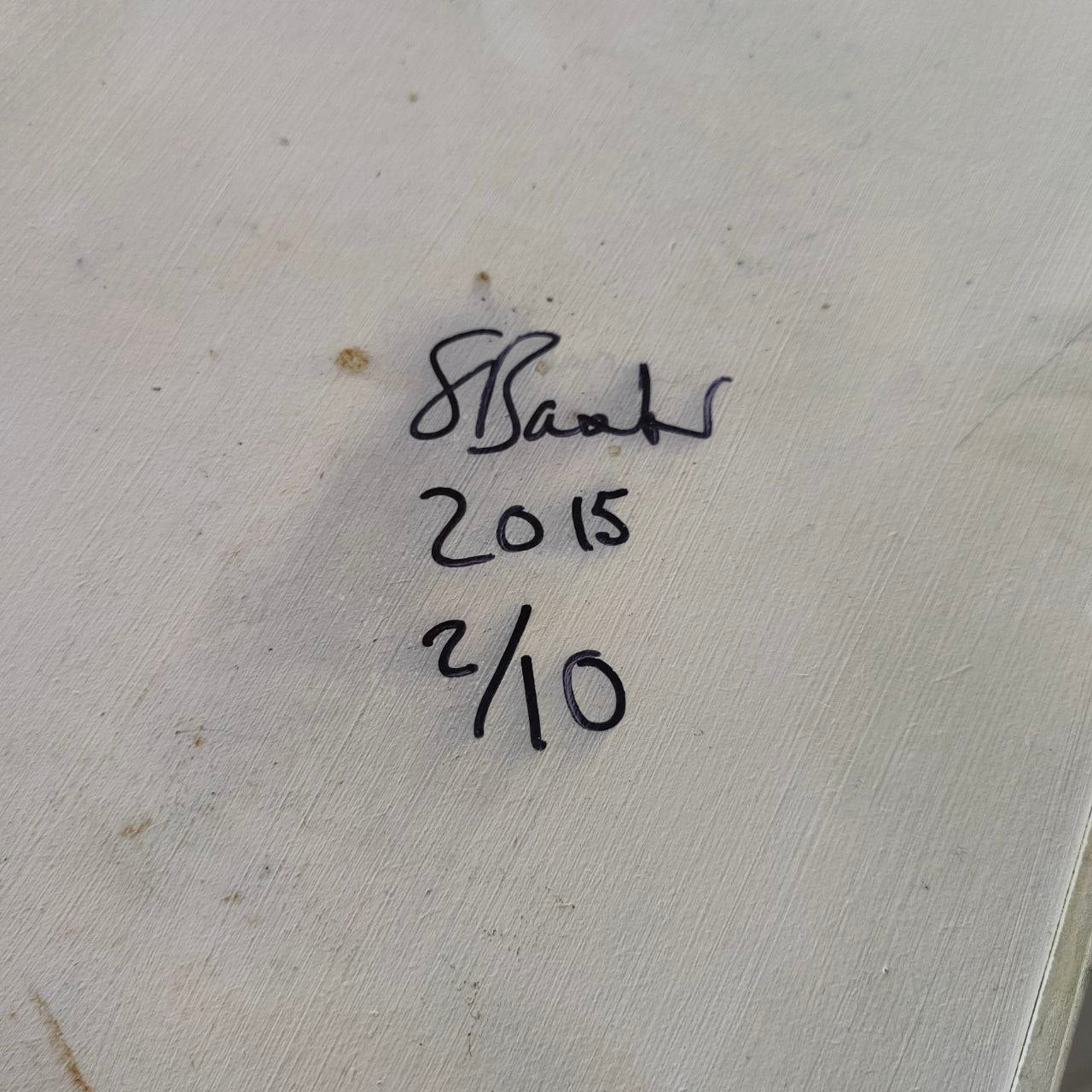 Zeitgenössisches Kunstwerk - Brillo - Sara Baxter | 2015