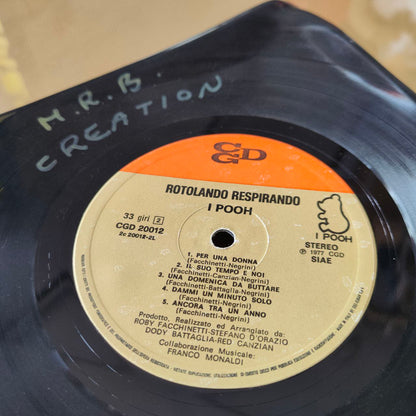 Vinyl-Schallplatte | Jahrgang 1977