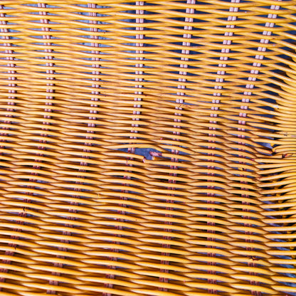 Sedie in Scooby Doo | Anni '60