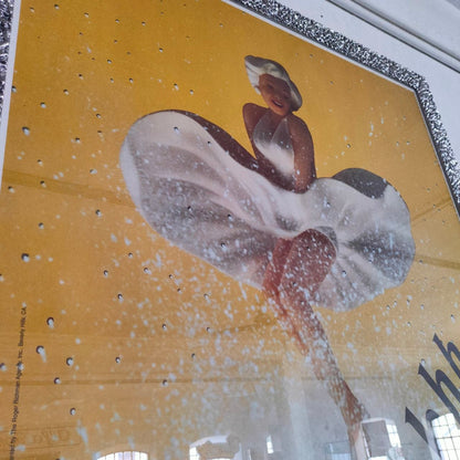 Manifesto pubblicitario - Schweppes Marilyn Monroe | 1995