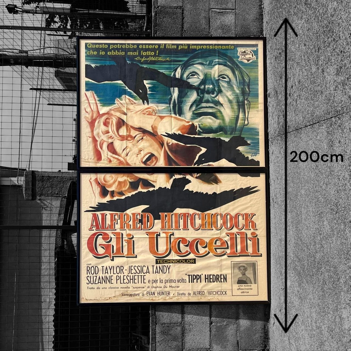 Manifesto di cinema - Gli Uccelli