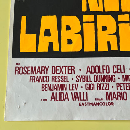 Locandina - L'occhio nel labirinto