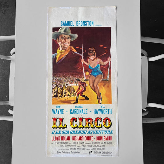 Locandina - Il Circo e la sua grande avventura