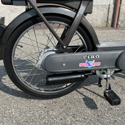 Piaggio Ciao PX Ecology System | 1987