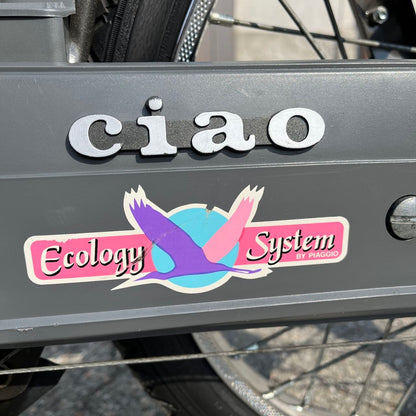 Piaggio Ciao PX Ecology System | 1987